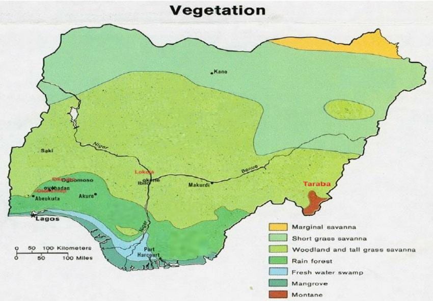 karta över nigeria visar vegetation