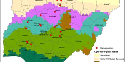 Karta över nigeria visar gröda distribution