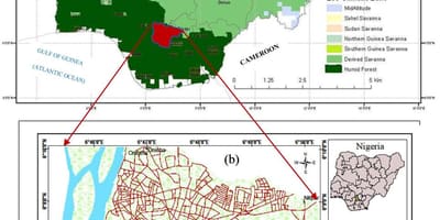 Karta över nigeria visar vegetation bälten