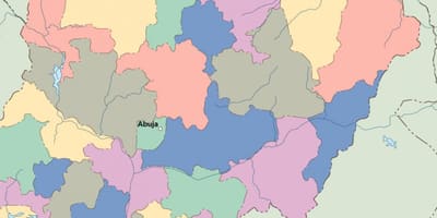 Karta över nigeria vektor