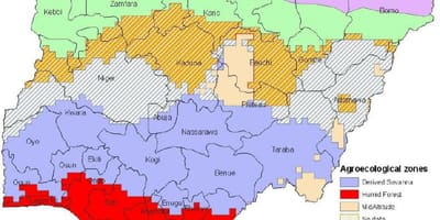 Rita karta över nigeria visar vegetationszoner