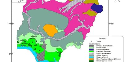 Karta över nigeria visar vegetation